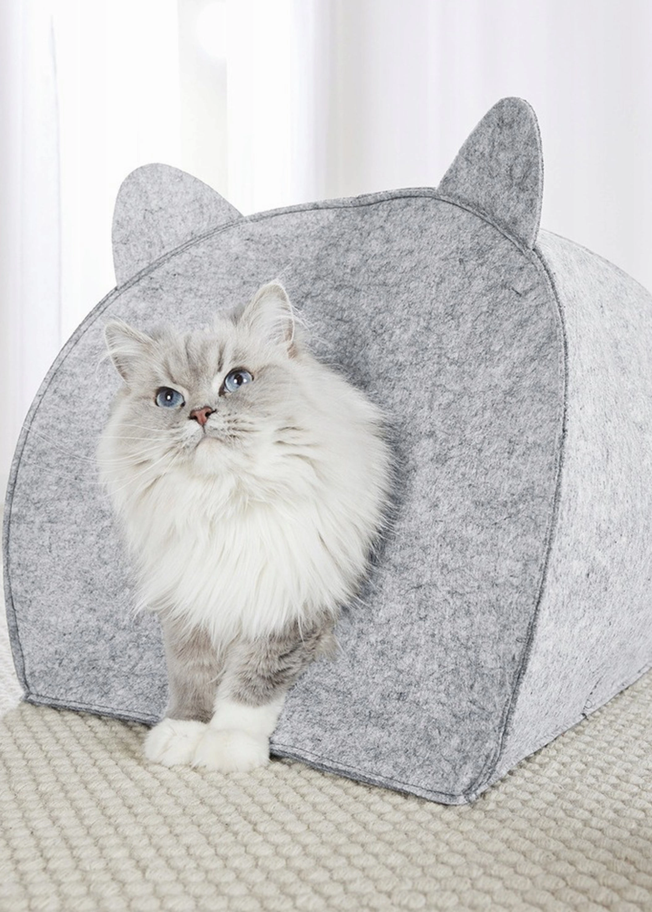 Cat House